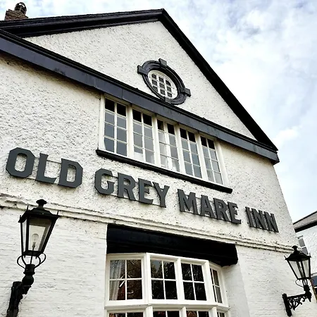 Old Grey Mare-3