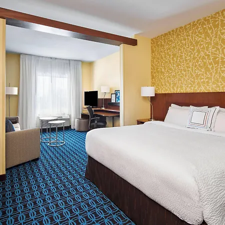 Fairfield Inn & Suites By Marriott Alexandria,Virginia-2
