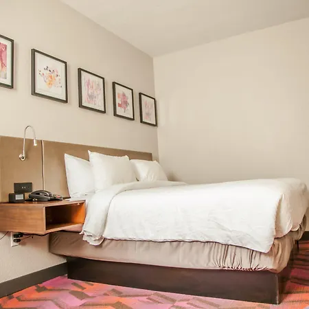 Hilton Garden Inn Tampa Suncoast Parkway-2