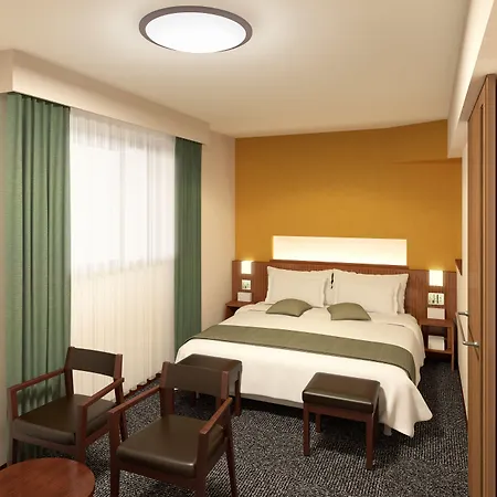 Dormy Inn Premium Kanda-3
