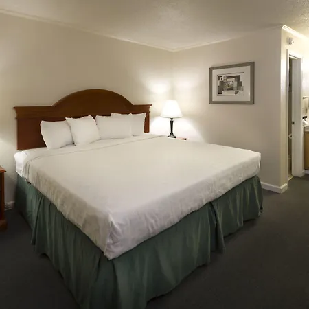 Belle Aire Motel - Downtown Convention Center - Gatlinburg-2