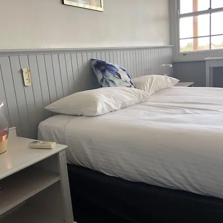 Squid'S Ink Motel-2