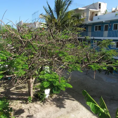 Blue Coconut Cancun Hotel-3