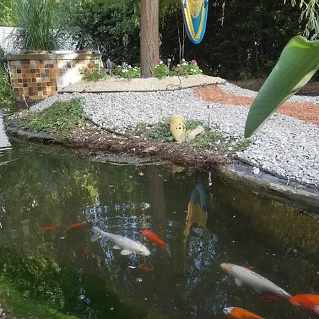 La Villa Des Sens-3