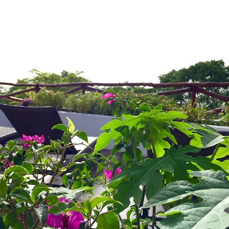 Hotel Sun Ha Bacalar-2