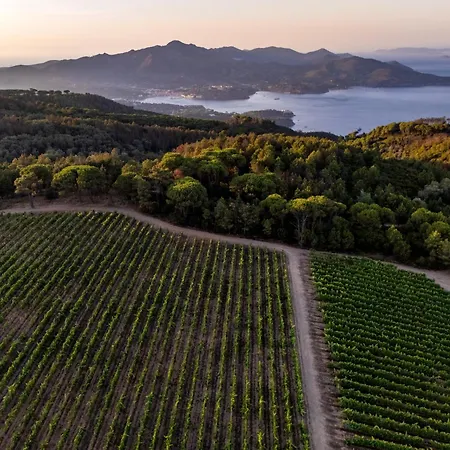 Tenuta Delle Ripalte-3
