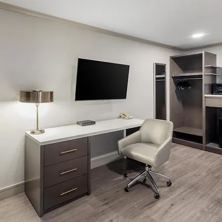 Best Western Plus Executive Suites-3