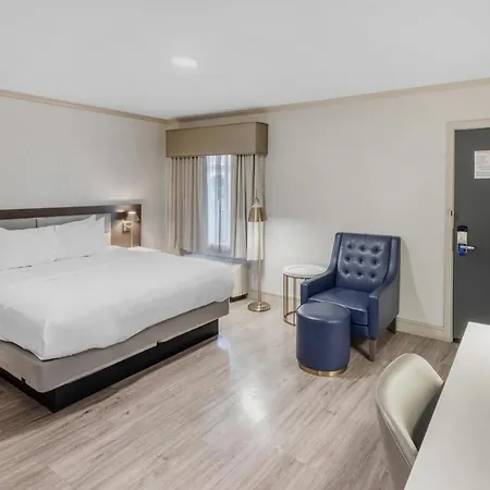 Best Western Plus Executive Suites-2