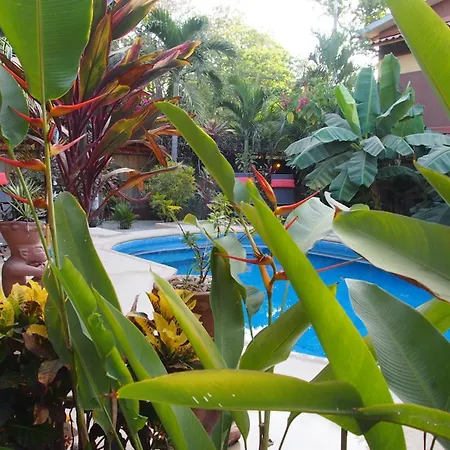 Samara Palm Lodge-3