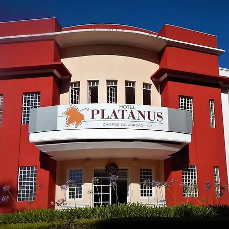 Hotel Platanus-3
