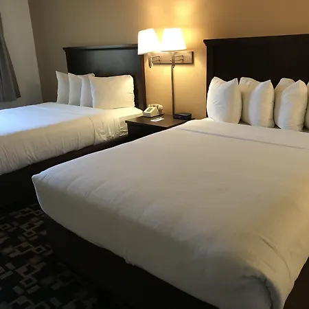 Morningglory Inn & Suites-3