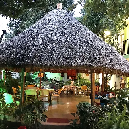 Hostal Casa Huasteca-3