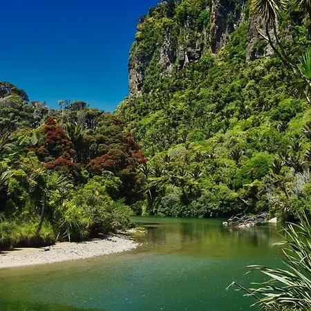 Punakaiki Beach Camp-2