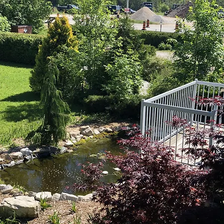 Adventure The Bruce Inn - Recently Renovated With Outdoor Hot Tub-2