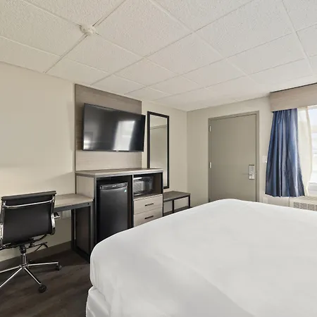 The Elmwood-3