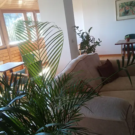 Pension Fellis-2
