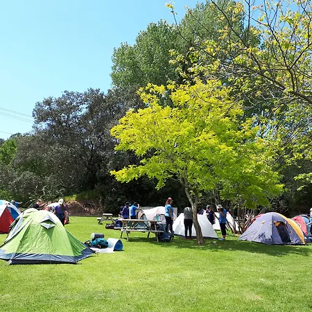 Orere Point Top 10 Holiday Park-2
