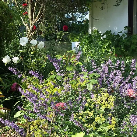 Riverfield Bed And Breakfast-2