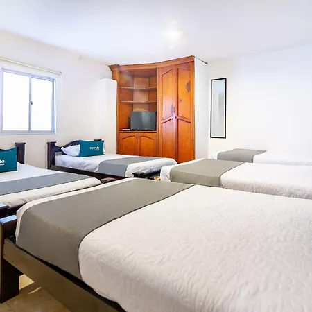 Hotel Orquidea 19-3
