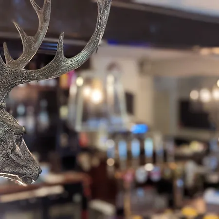 The Buck Hotel-3