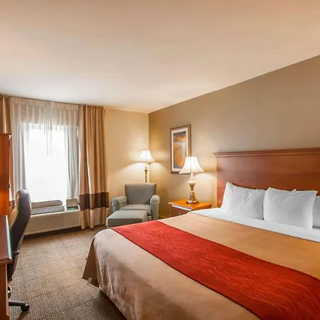 Quality Inn & Suites Germantown North-3