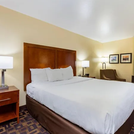Comfort Inn & Suites North Aurora - Naperville-2