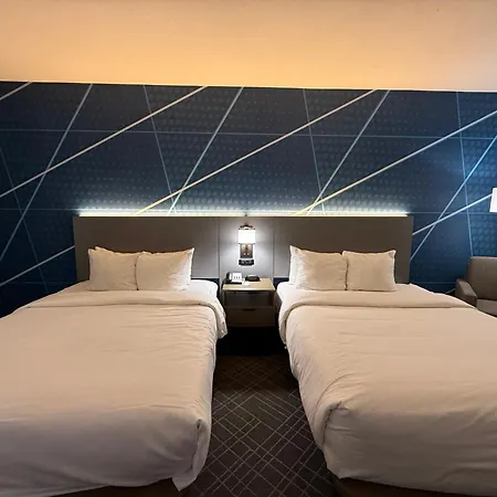 Comfort Inn & Suites Love Field-Dallas Market Center-3