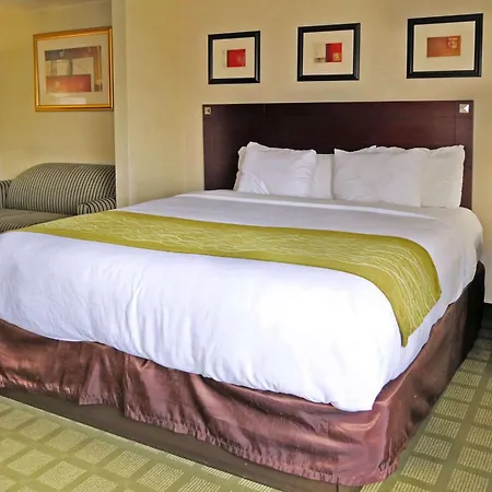 Comfort Inn Southwest Fwy At Westpark-2