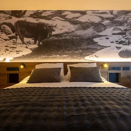 Hotel Del Tarter-3