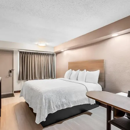 Red Roof Inn Plus Chicago - Hoffman Estates-2