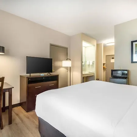 Comfort Inn Federal Way - Seattle-2