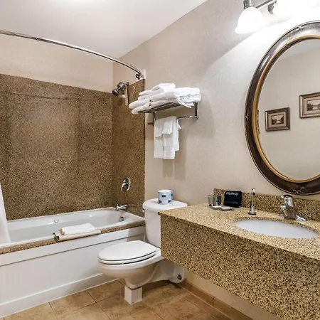 Maine Evergreen Hotel, An Ascend Collection Hotel-3