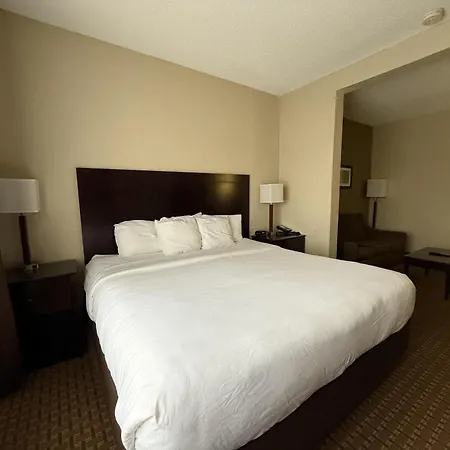 Surestay By Best Western Marion-3