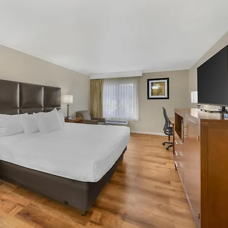 Best Western Plus Northwoods Inn-3