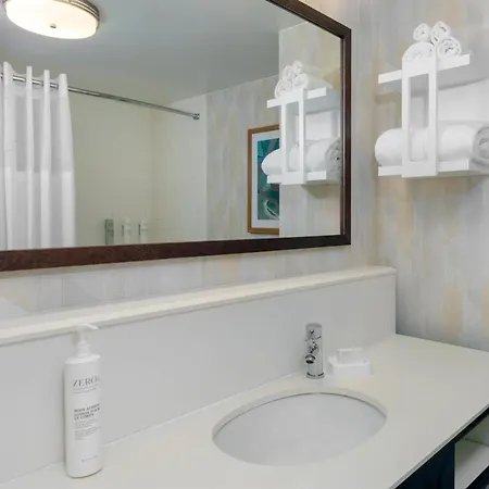 Hampton Inn & Suites Tampa Airport Avion Park Westshore-3