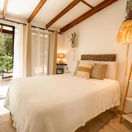 Tribe Boutique Hotel - Adults Only-2