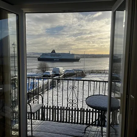 The View-2