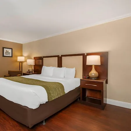 Comfort Inn Oceanside Deerfield Beach-2
