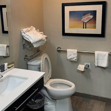 Gallus Stadium Park Inn, An Ascend Collection Hotel-2