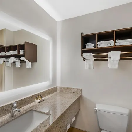 Best Western Plus Mcdonough Inn & Suites-3