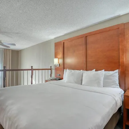 Comfort Suites Madison West - Middleton-3