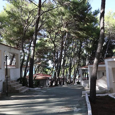 Sfinal Residence-3