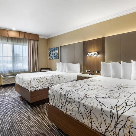 Best Western Airpark Hotel - Lax Airport La Stadium-3
