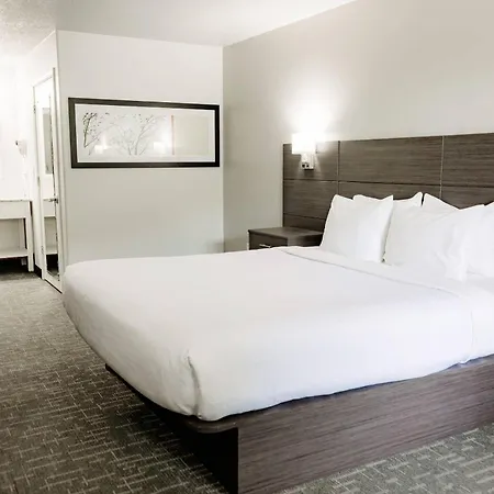 Quality Inn & Suites Lathrop-2