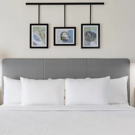 Sleep Inn & Suites Round Rock - Austin North-3