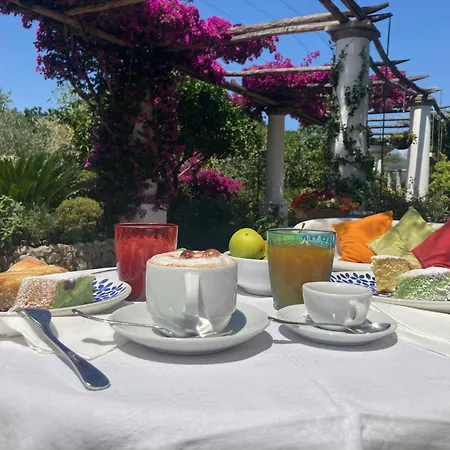 Hotel Al Mulino - Mediterranean Garden Retreat In Anacapri-3