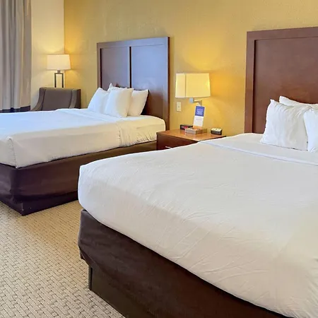 Comfort Inn & Suites Rogersville-3