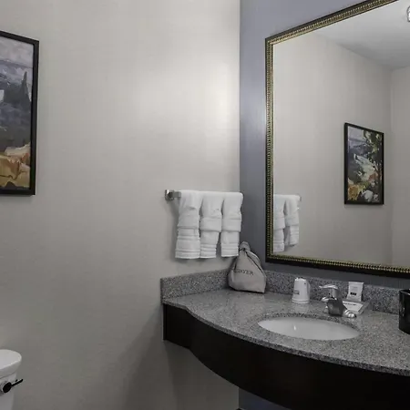 Hilton Garden Inn Denison/Sherman/At Texoma Event Center-2