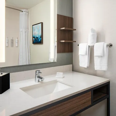 Hilton Garden Inn Virginia Beach Town Center-3