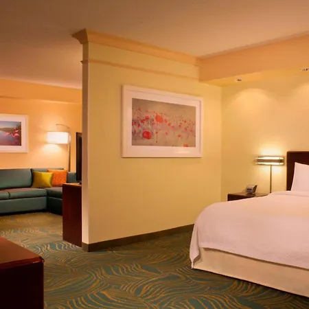 Springhill Suites Gainesville-2